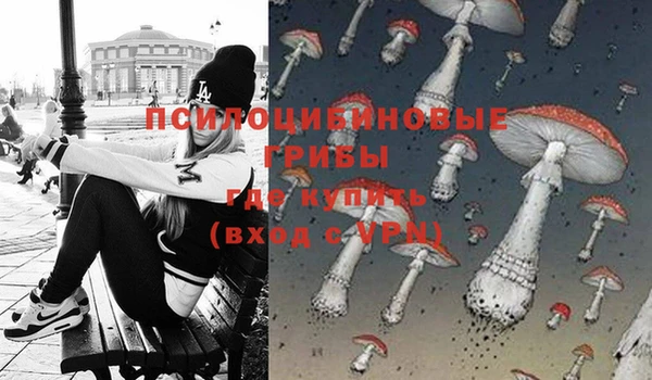 гидропоника Балахна