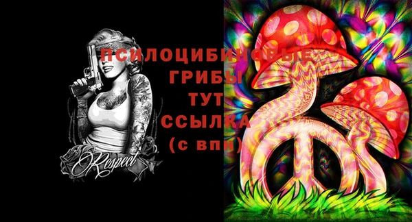 2c-b Баксан