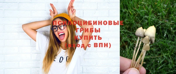 PSILOCYBIN Киреевск