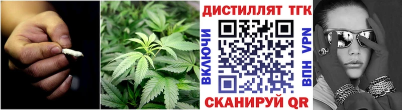 Дистиллят ТГК концентрат  Весьегонск 
