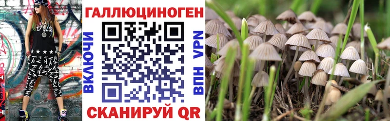 цена наркотик Весьегонск Галлюциногенные грибы GOLDEN TEACHER